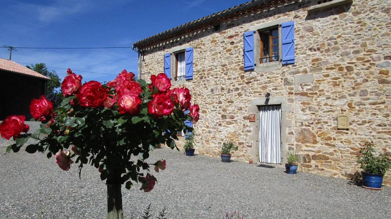 Gites & Chambres D'Hotes Peyrecout Laparrouquial Εξωτερικό φωτογραφία